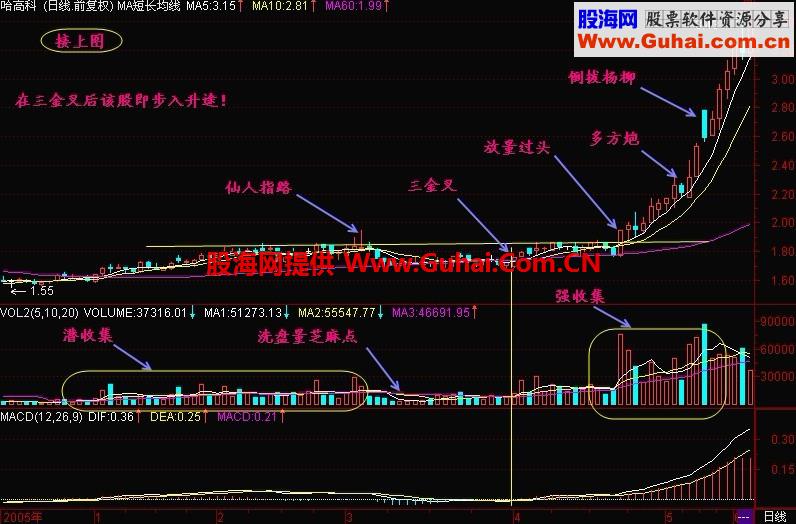 新生300天图解教程 第46节：三金叉见底