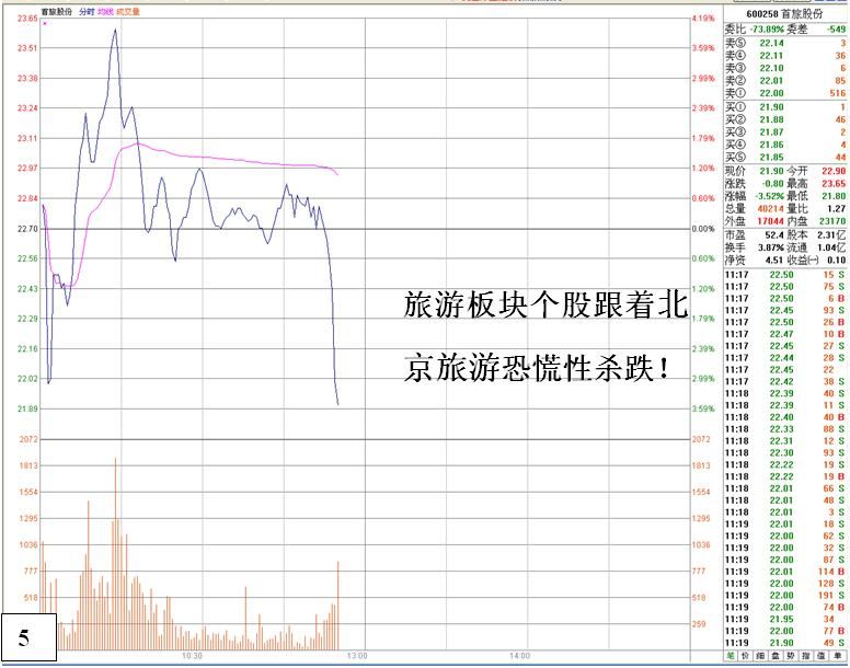 金印组合 恐慌性跳水行为与底部特征