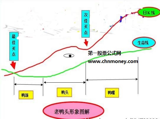 老鸭头战法如何运用于实际