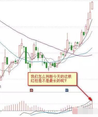 股市中的新手应该如何学会看盘？