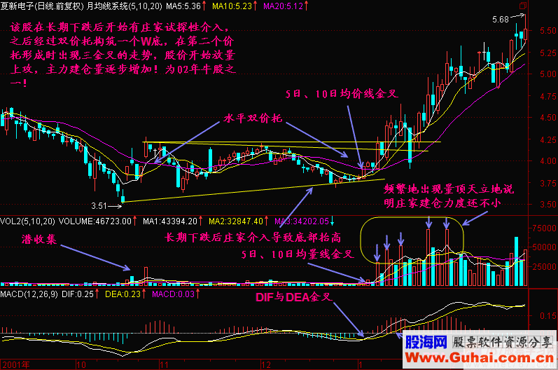 46.三金叉见底