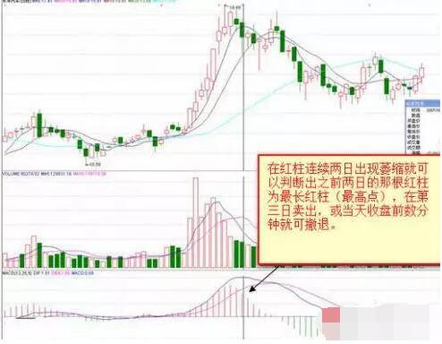 股市中的新手应该如何学会看盘？