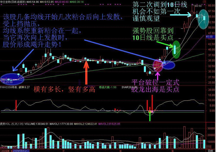 炒股一招鲜之——经典K线图解 - 天马行空 - 大道至简 ，快乐股道！