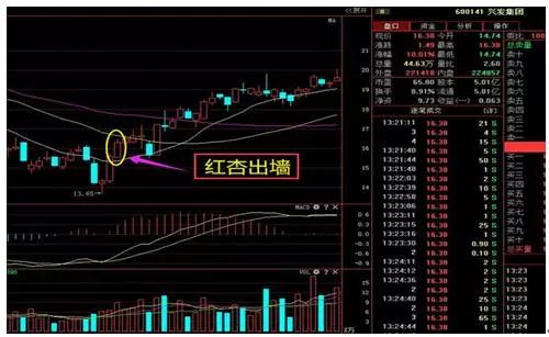 一套价值千金的135均线系统，晚上睡不着时建议看看，受益终生