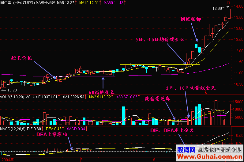 46.三金叉见底