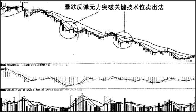 出现以下危险信号，即使割肉放血也要清仓