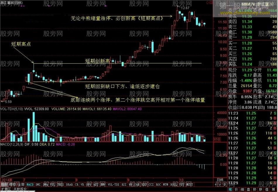 缩量涨停创新高的牛股