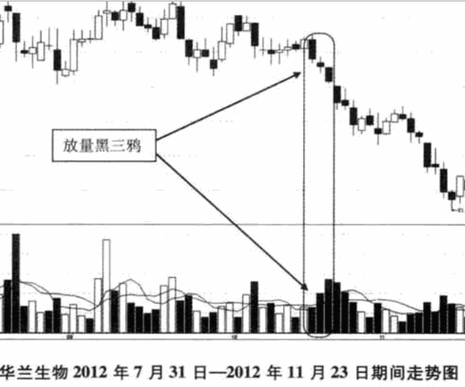 三只黑乌鸦形态