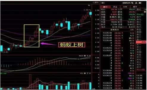 一套价值千金的135均线系统，晚上睡不着时建议看看，受益终生