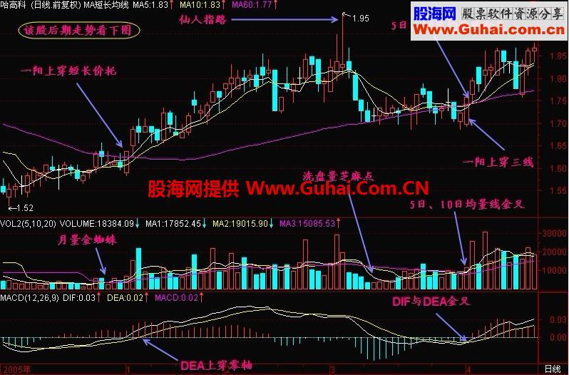 新生300天图解教程 第46节：三金叉见底