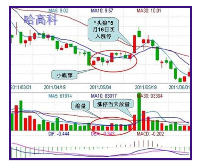 头狼涨停战法下载 - 老牛 - 老牛的股票博客