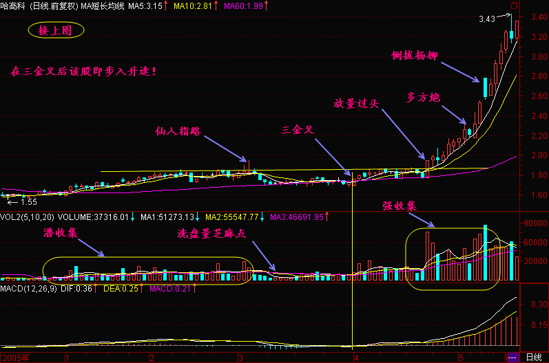 46.三金叉见底