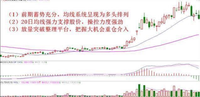 捕捉强势股秘籍 操盘手初次曝光