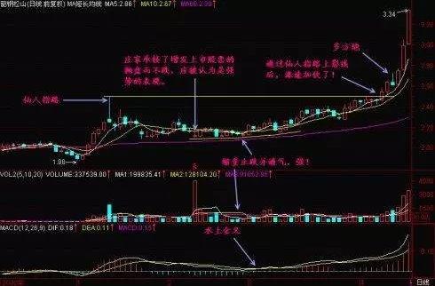 熟记六大低吸绝招，跟庄吃肉简直易如反掌