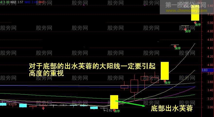 大阳线捕捉牛股