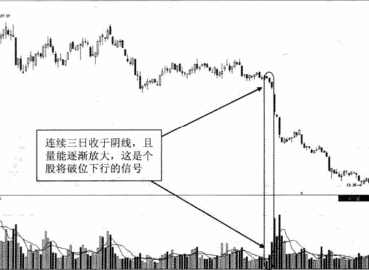 三只黑乌鸦形态