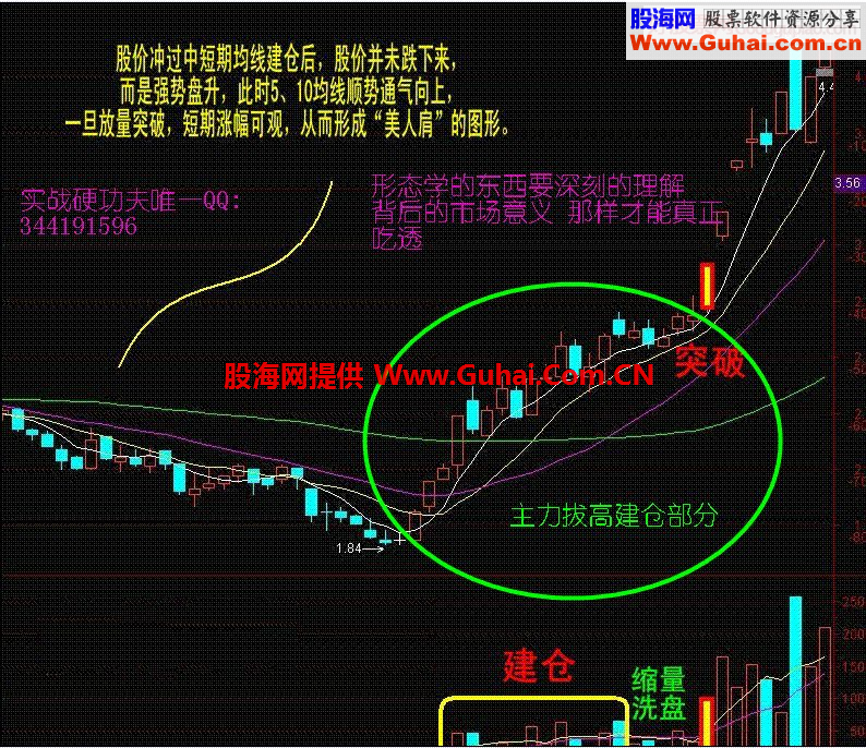 拔高建仓的主力最可爱