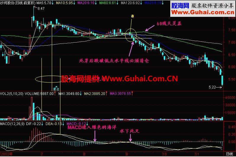 新生300天图解教程 第137节：死芽是暴跌先兆