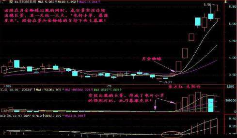 老股民总结金蜘蛛运用战法