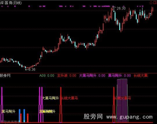 通达信私募+大黑马指标公式