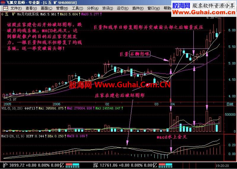 新生300天图解教程 第36节：石狮怒吼，海鸟飞天