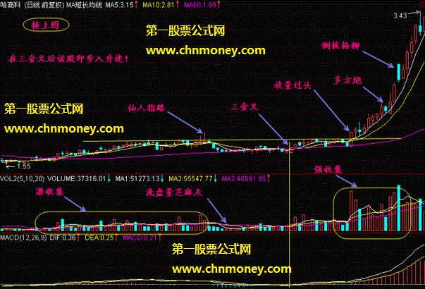 三金叉抓住上扬行情