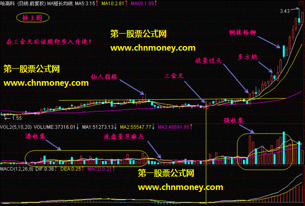 三金叉抓住上扬行情