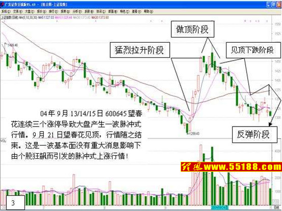 看盘绝招图解教程──脉冲式行情 